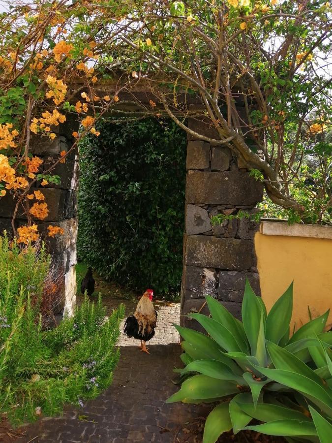 Casa Da Japoneira Hotel Horta  Exterior foto